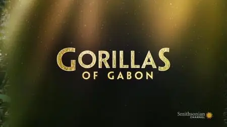 Smithsonian Channel - Gorillas of Gabon (2018)