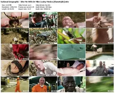 National Geographic - Bite Me with Dr Mike Leahy: Mexico (2009)