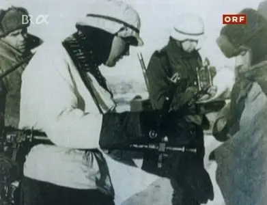 Fotos von der Front über die deutsche Kriegsfotografie im 2. Weltkrieg