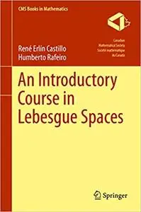 An Introductory Course in Lebesgue Spaces (Repost)