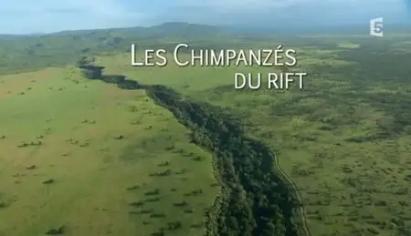 (Fr5) Les chimpanzés du Rift (2011)