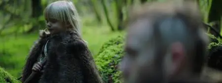 The Place of No Words (2019)