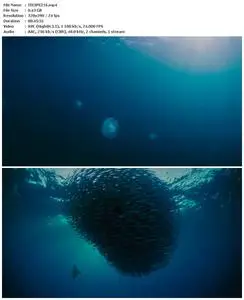 Voyage of Time: The IMAX Experience (2016)