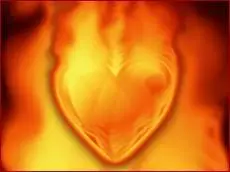 AIO laconic software flame apps  (all incl. ))
