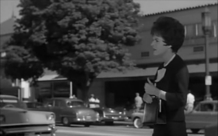 The Caretakers (1963)