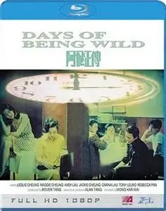 Days Of Being Wild (1991)
