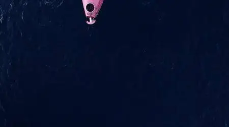 Losing Sight of Shore (2017)