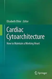 Cardiac Cytoarchitecture: How to Maintain a Working Heart