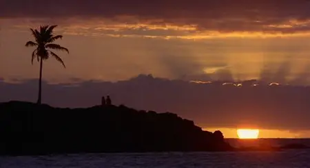 The Blue Lagoon (1980)