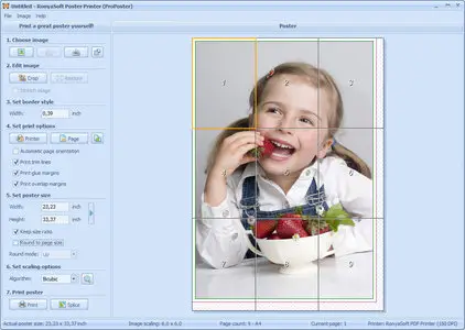 RonyaSoft Poster Printer 3.2.8