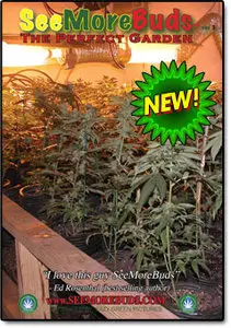 See More Buds Vol.3, "Perfect Garden"