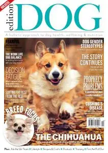 Edition Dog - Issue 24 - 29 October 2020