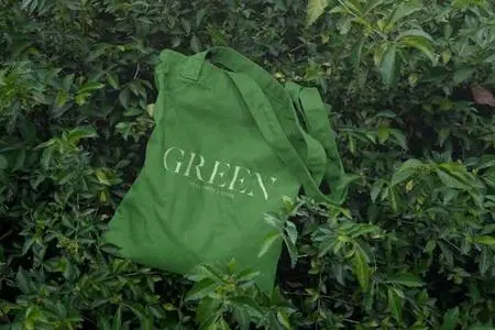Eco Canvas Tote Bag Mockup YJ87793