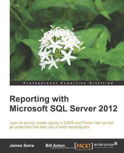 Reporting with Microsoft SQL Server 2012