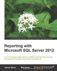 Reporting with Microsoft SQL Server 2012