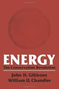 Energy: The Conservation Revolution (Modern Perspectives in Energy)