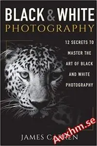 Black And White Photography: 12 Secrets to Master The Art of Black And White Photography