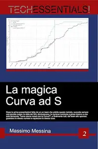 La magica Curva ad S: Dopo i primi utilizzi accade una piccola magia:le slide dei SAL calano, i partecipanti chiedono subito