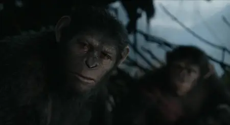 Dawn of the Planet of the Apes (2014) [MultiSubs]