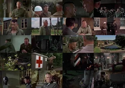 The Dirty Dozen (1967) [Open Matte]