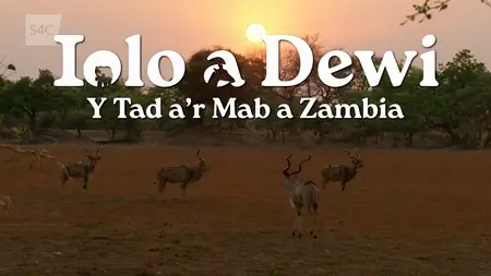 S4C - Iolo a Dewi: Y Tad a'r Mab a Zambia (2024)