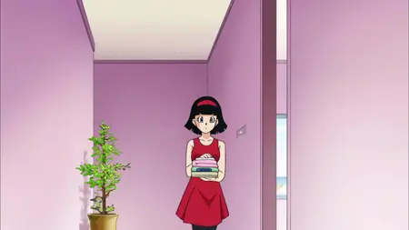 Dragon Ball Super (2015 S02E03 Pan is Born! And Goku Goes on a Training Journey!! ZR