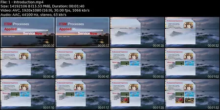 ServiceNow ITSM Processes