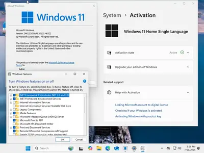 Windows 11 24H2 (No TPM Required) & Windows 10 22H2 AIO 32in1 Preactivated July 2025