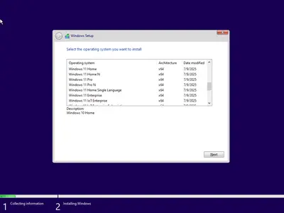 Windows 11 24H2 (No TPM Required) & Windows 10 22H2 AIO 32in1 Preactivated July 2025