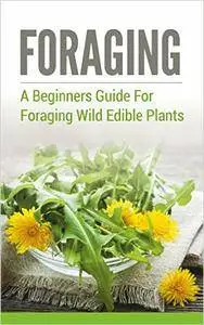 Foraging: A Beginners Guide to Foraging Wild Edible Plants