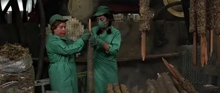 Up in Smoke (1978)