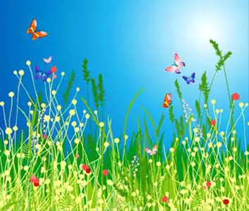 Vector Nature Illustrations