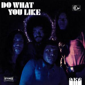 AKA - Do What You Like (1970) [Reissue 2014]