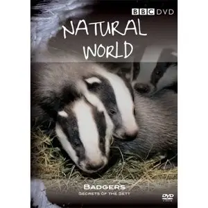BBC Natural World - Badgers Secrets of the Sett, by David Attenborough (2008)
