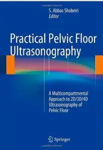 Practical Pelvic Floor Ultrasonography: A Multicompartmental Approach to 2D/3D/4D Ultrasonography of Pelvic Floor [Repost]