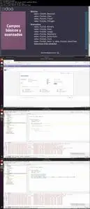 Odoo: Curso de desarrollo completo para programadores
