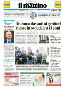 Il Mattino di Padova - 28 Marzo 2019