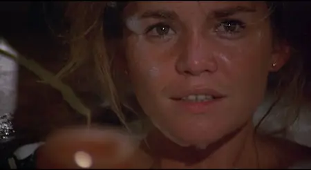 A Safe Place (1971)[The Criterion Collection #548] (1971)