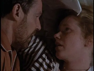 Scenes From a Marriage (1973) - (The Criterion Collection - #229) [3 DVD9] [2004]