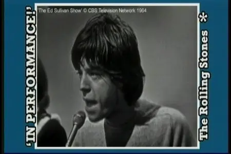 The Rolling Stones - In Performance (2008)
