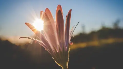 Solving Life Problems - A Lean Six Sigma Philosophy