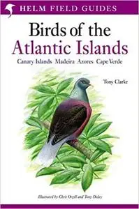 Field Guide to the Birds of the Atlantic Islands (Helm Field Guides)