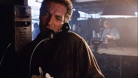 Fever (1991) 