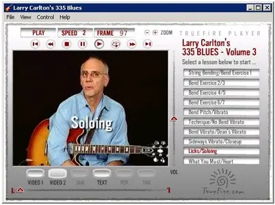 Larry Carlton Master Class 335 Blues (2011) [Repost]