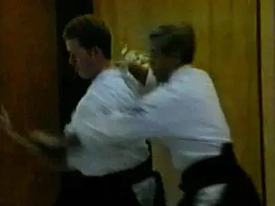 The Principles of Aikido