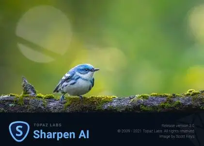 Topaz Sharpen AI 3.0.1 (x64)