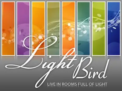 Light Bird Wallpapers