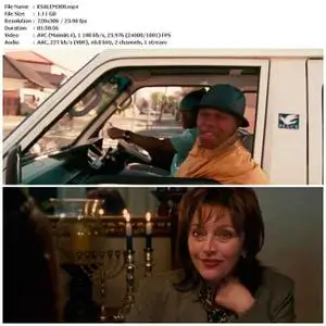 Gangster's Paradise: Jerusalema (2008)