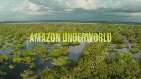 National Geographic - Amazon Underworld (2016)