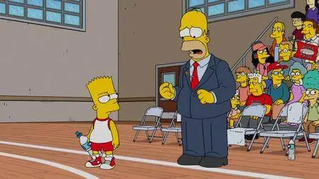 The Simpsons S28E17 (2017)